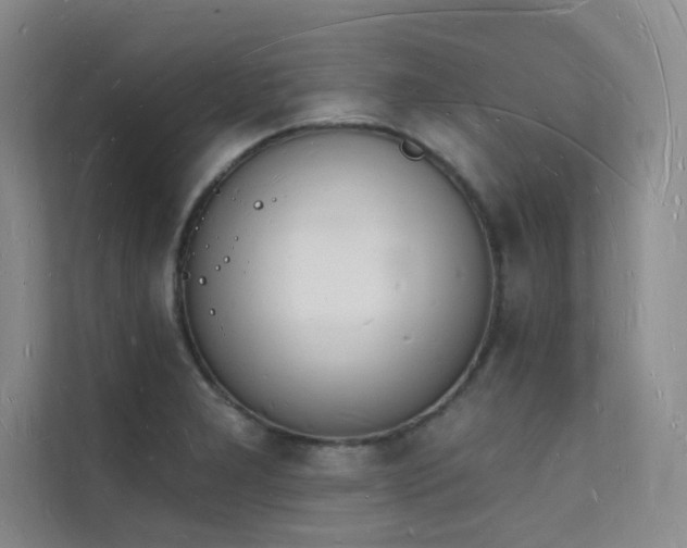 X0000112141277200908071048