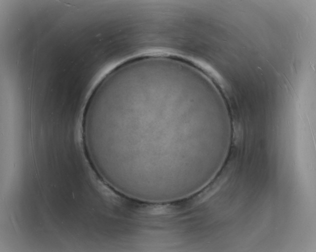 X0000112141279200908071048