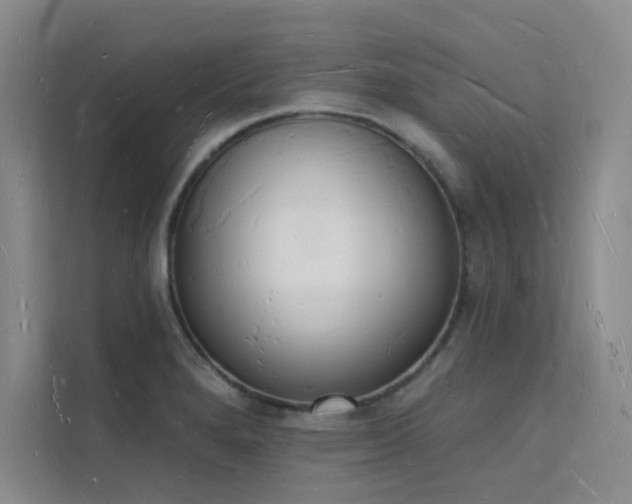 X0000112141280200908071048