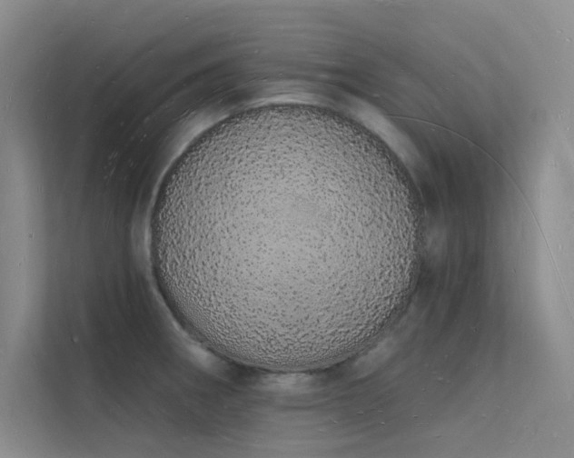 X0000112141282200908071048