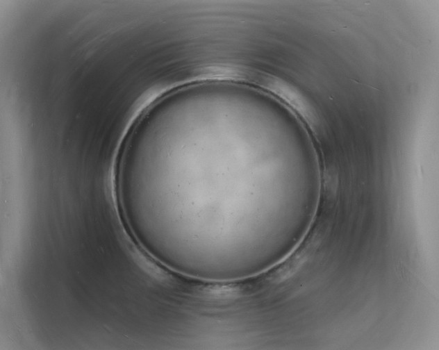 X0000112141283200908071048