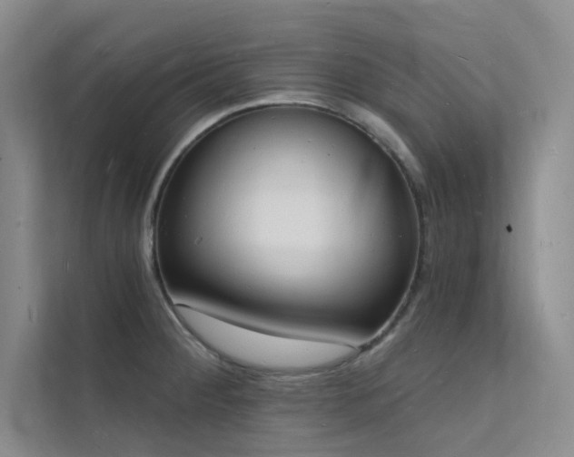 X0000112141284200908071048