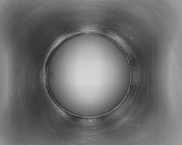 X0000112141286200908071048