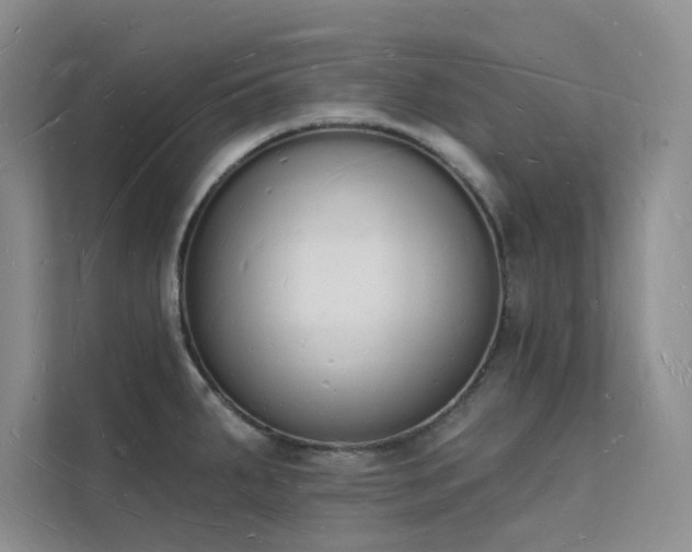X0000112141287200908071048