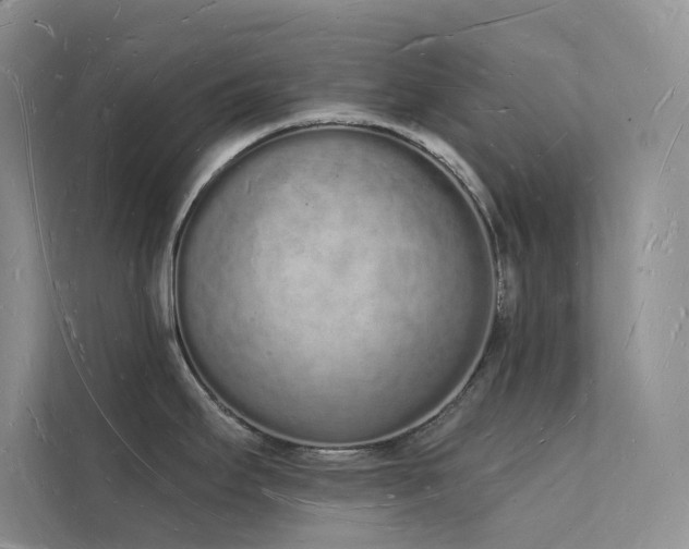 X0000112141295200908071048