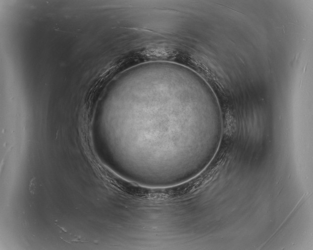 X0000112141297200908071048