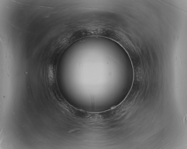 X0000112141298200908071048
