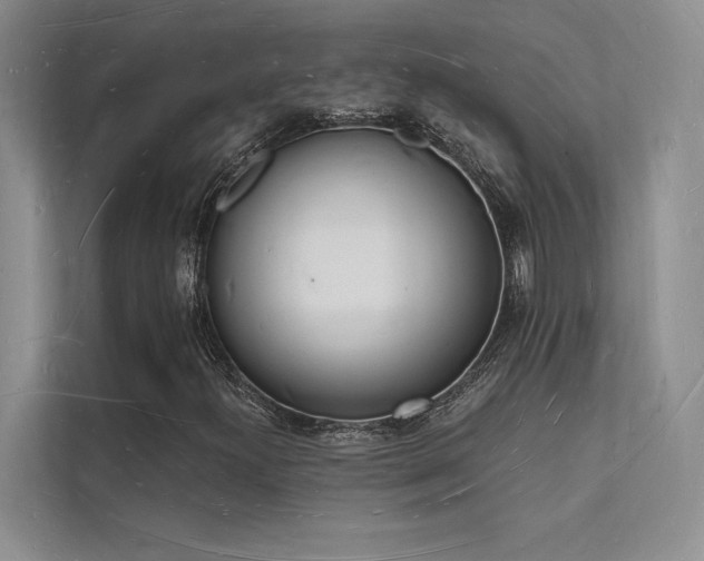 X0000112141300200908071048