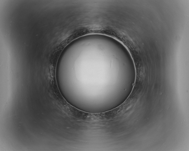 X0000112141301200908071048