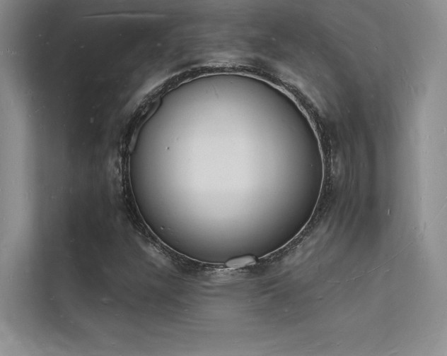 X0000112141304200908071048