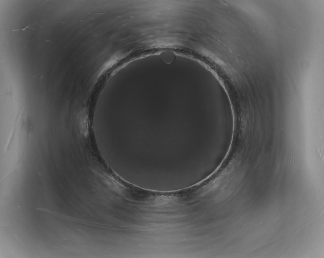 X0000112141306200908071048