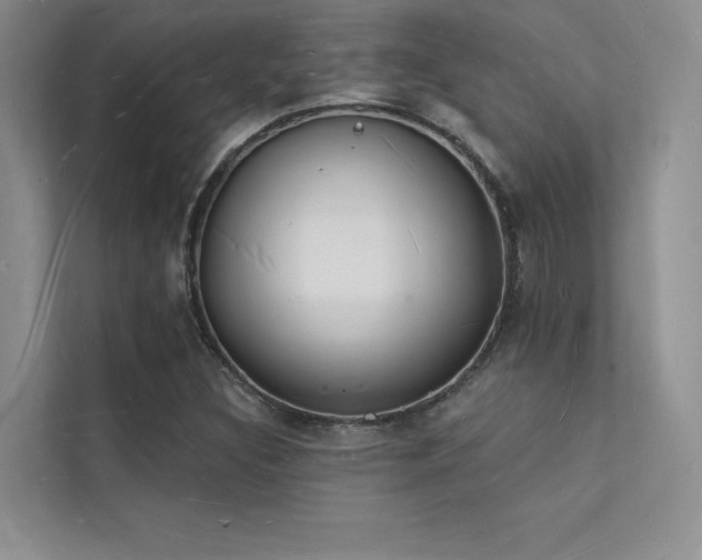 X0000112141308200908071048