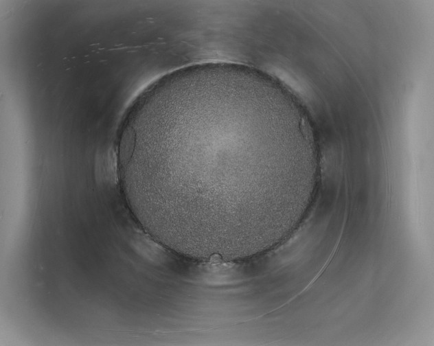 X0000112141310200908071048