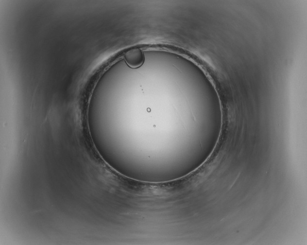 X0000112141311200908071048