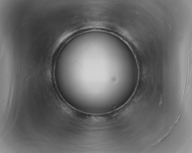 X0000112141312200908071048