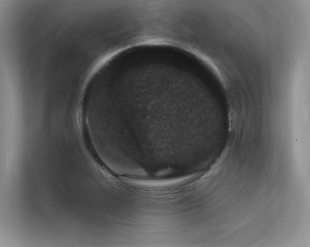 X0000112141319200908071048