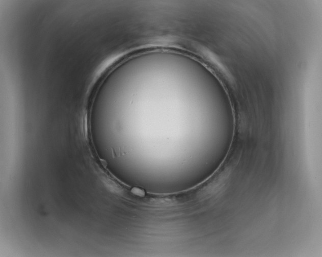 X0000112141320200908071048