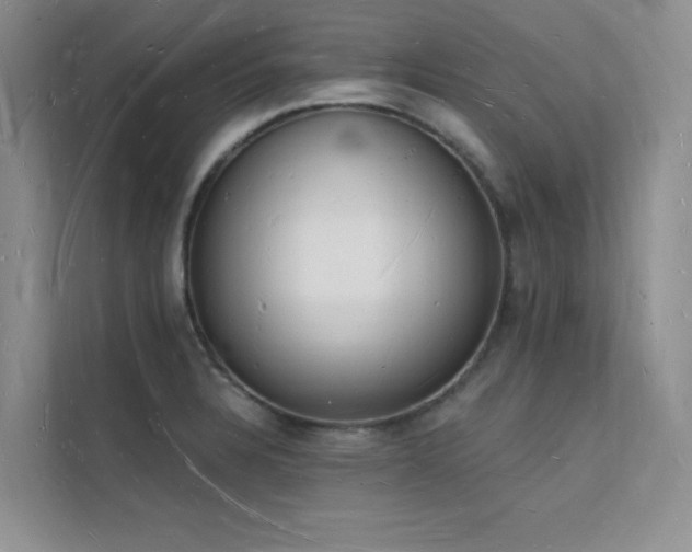 X0000112141328200908071048
