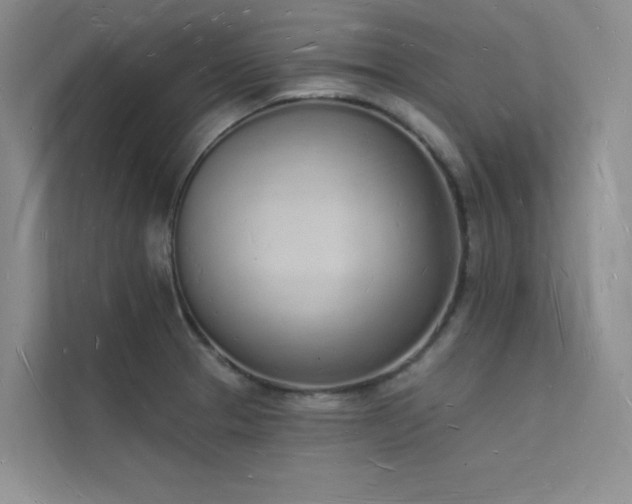 X0000112141329200908071048