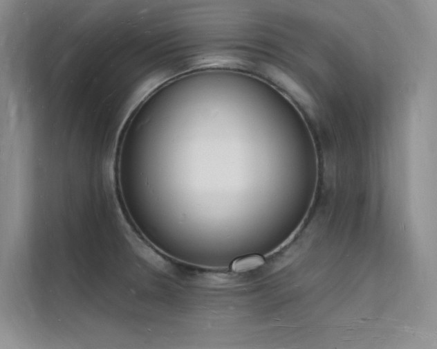 X0000112141330200908071048