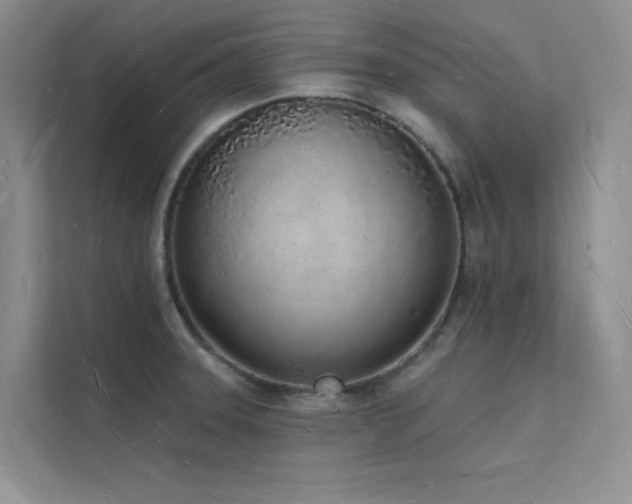 X0000112141331200908071048
