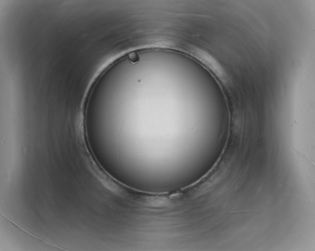 X0000112141332200908071048