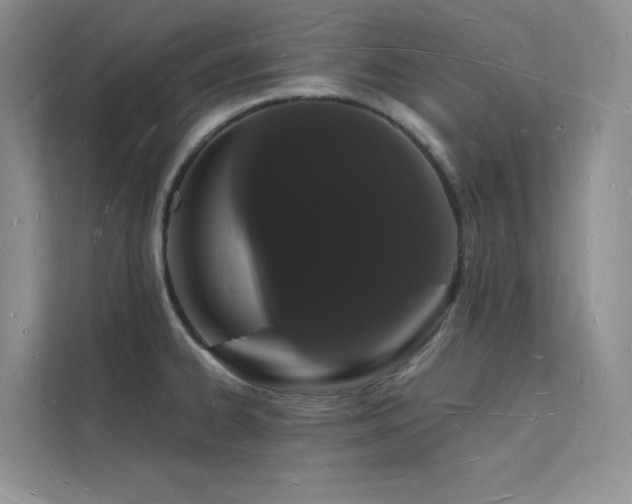 X0000112141334200908071048