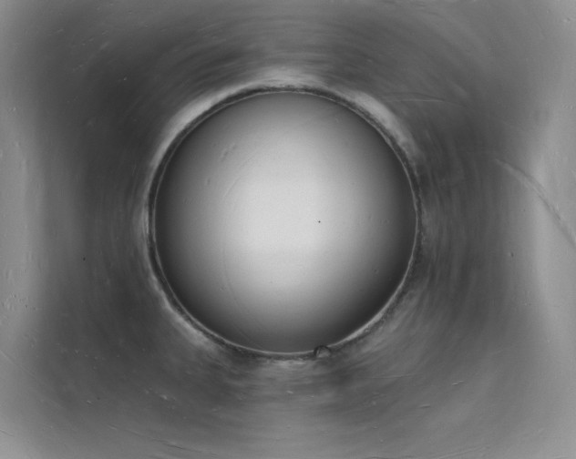 X0000112141335200908071048
