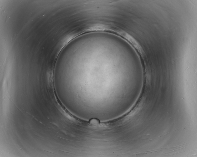 X0000112141337200908071048