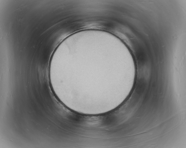 X0000112141338200908071048