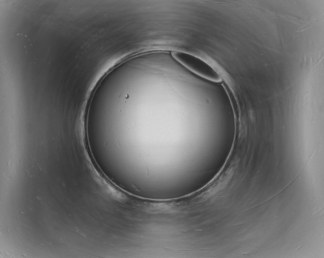 X0000112141341200908071048
