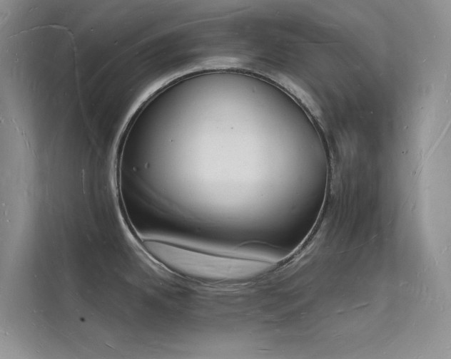 X0000112141342200908071048