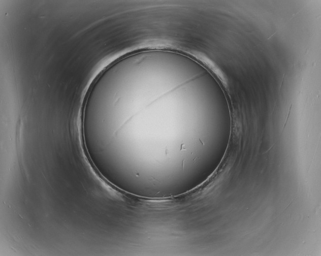 X0000112141343200908071048
