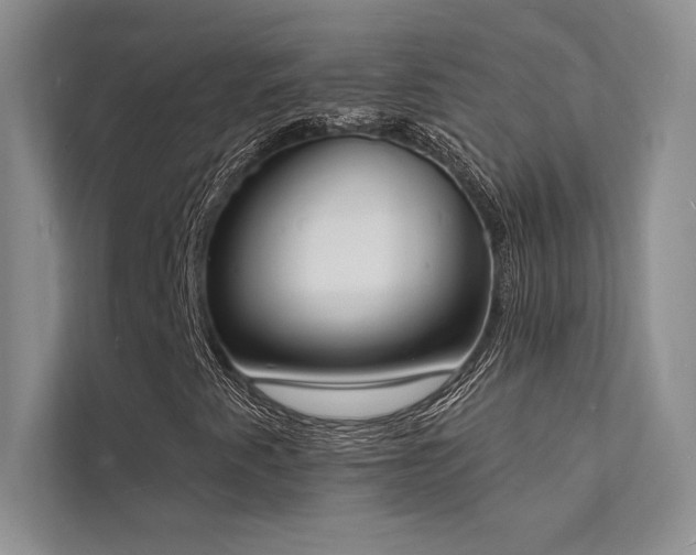 X0000112141345200908071048