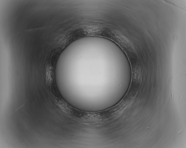 X0000112141346200908071047