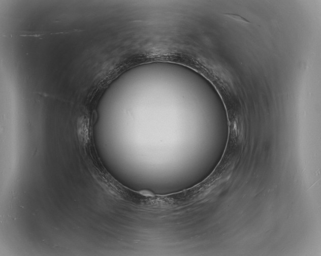 X0000112141348200908071047