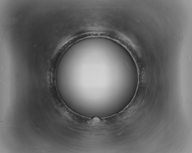 X0000112141352200908071047
