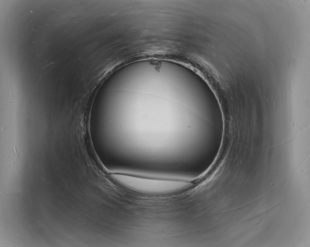 X0000112141353200908071047