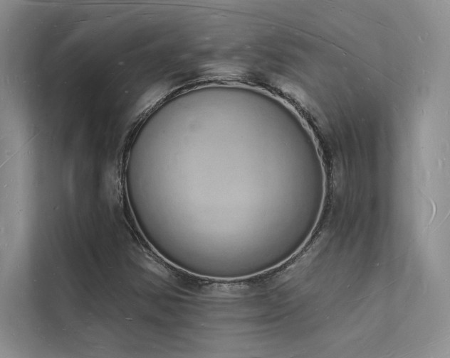 X0000112141354200908071047