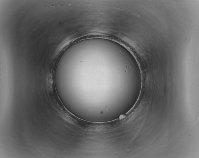 X0000112141355200908071047