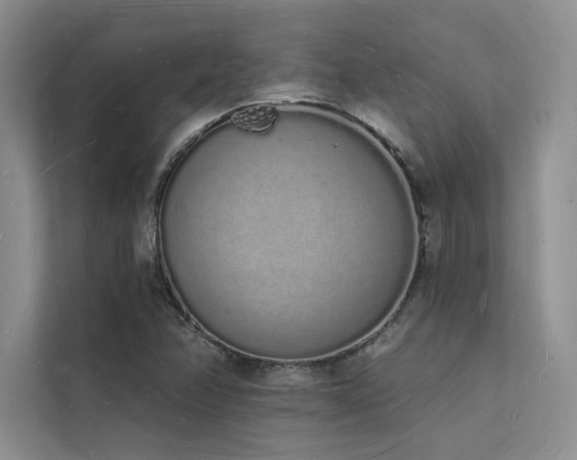 X0000112141358200908071047