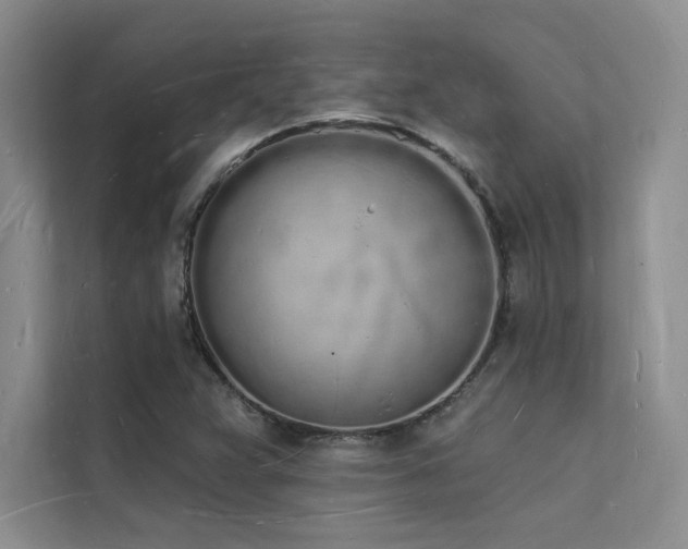 X0000112141359200908071047
