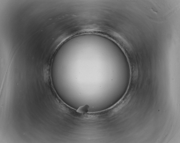 X0000112141361200908071047