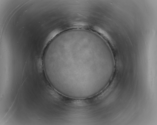X0000112141362200908071047