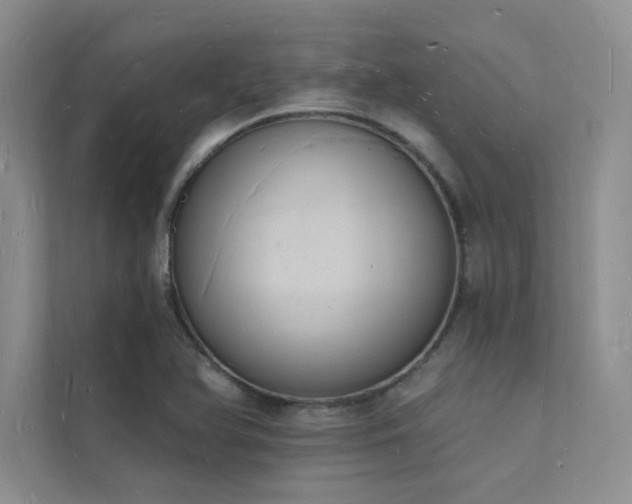 X0000112141366200908071047