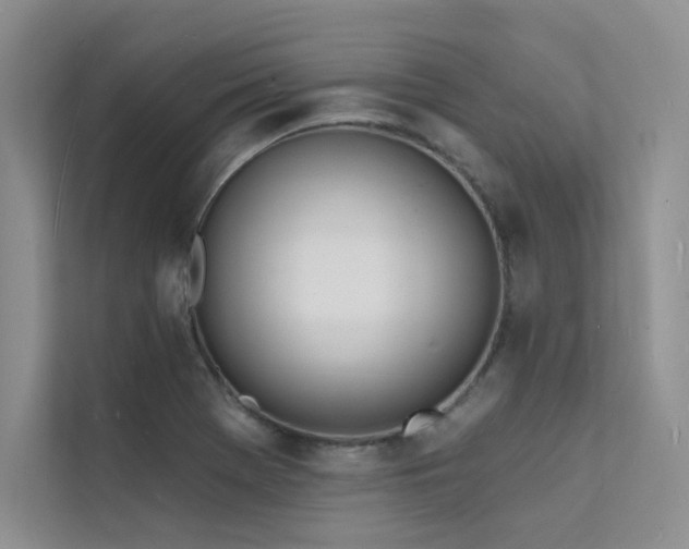 X0000112141369200908071047