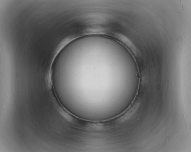 X0000112141370200908071047