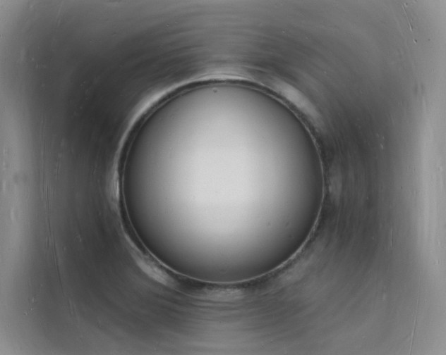 X0000112141372200908071047