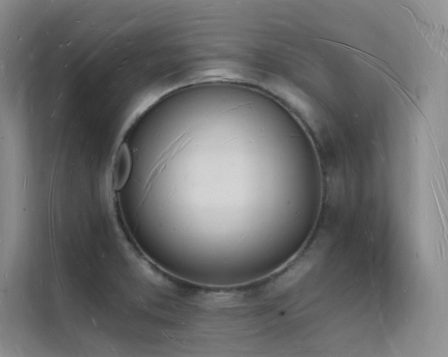 X0000112141373200908071047