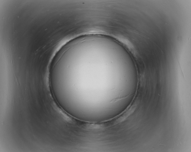 X0000112141374200908071047